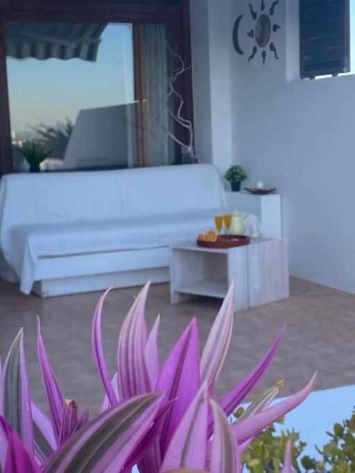 Appartement Terrazas *